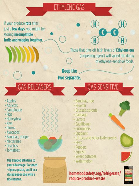 Produce Storage Infographic